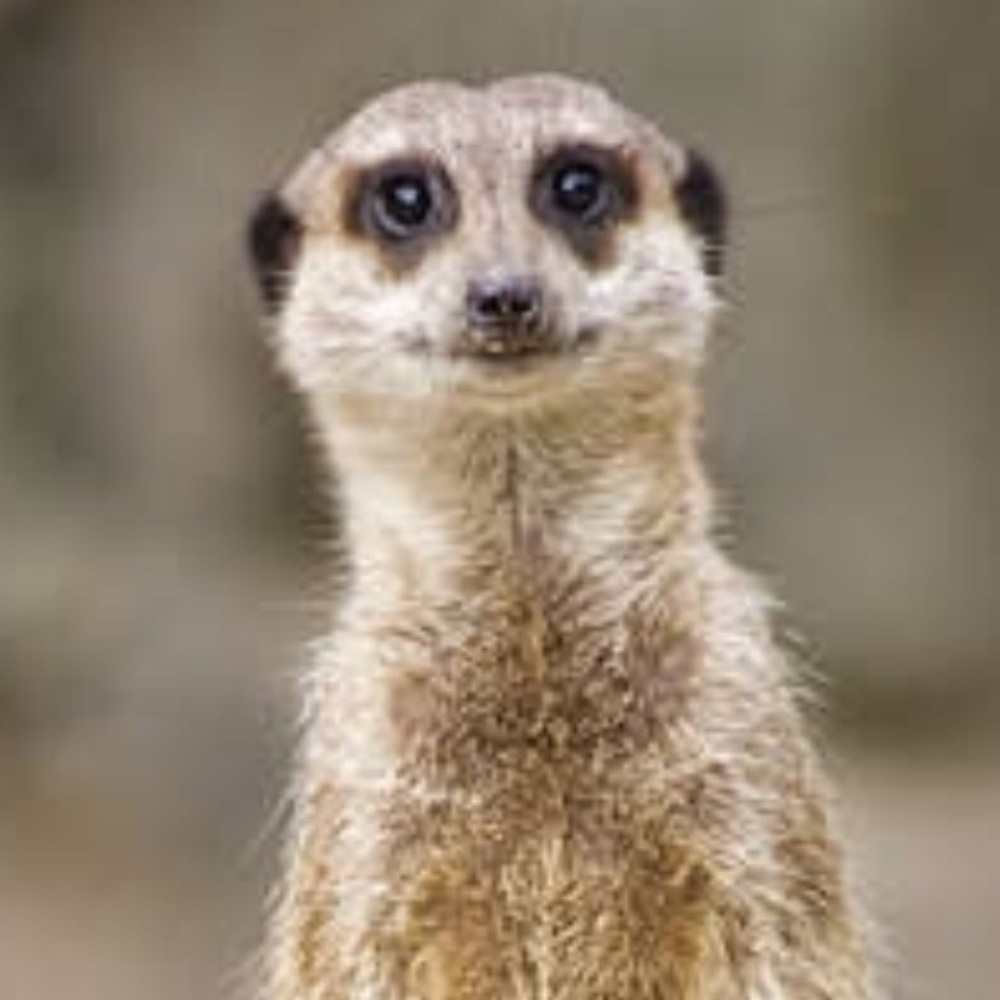 Meet your Posher, Sherry